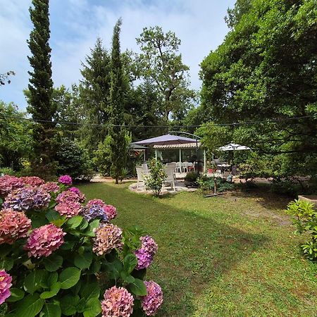 Manoir De Tireveste Lesperon  Luaran gambar