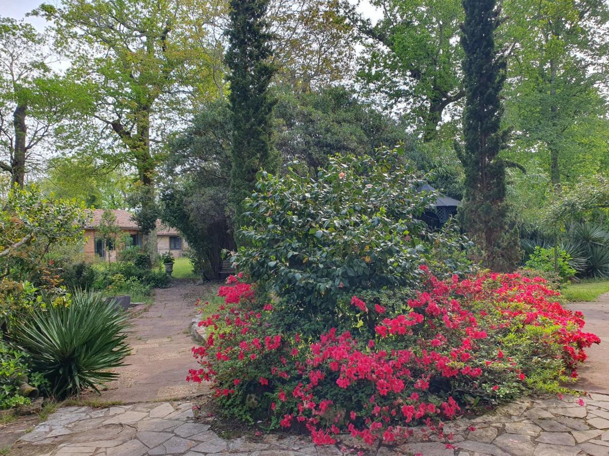 Manoir De Tireveste Lesperon  Luaran gambar