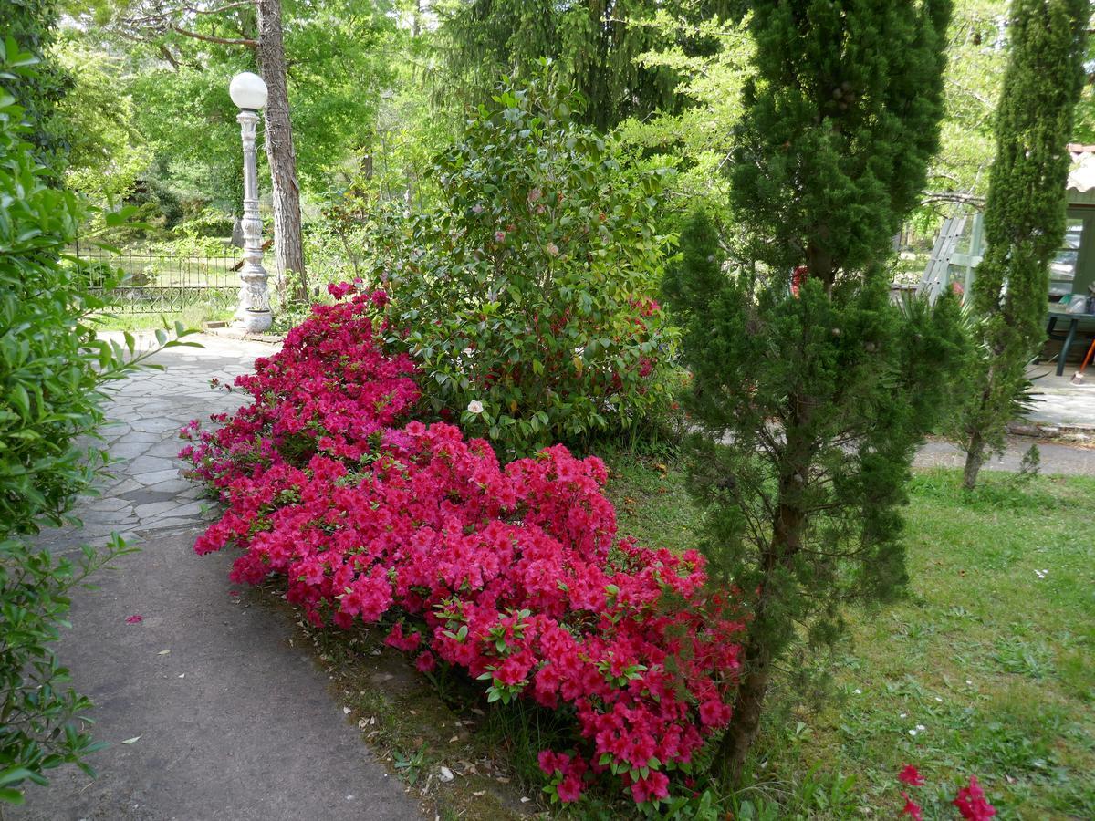 Manoir De Tireveste Lesperon  Luaran gambar