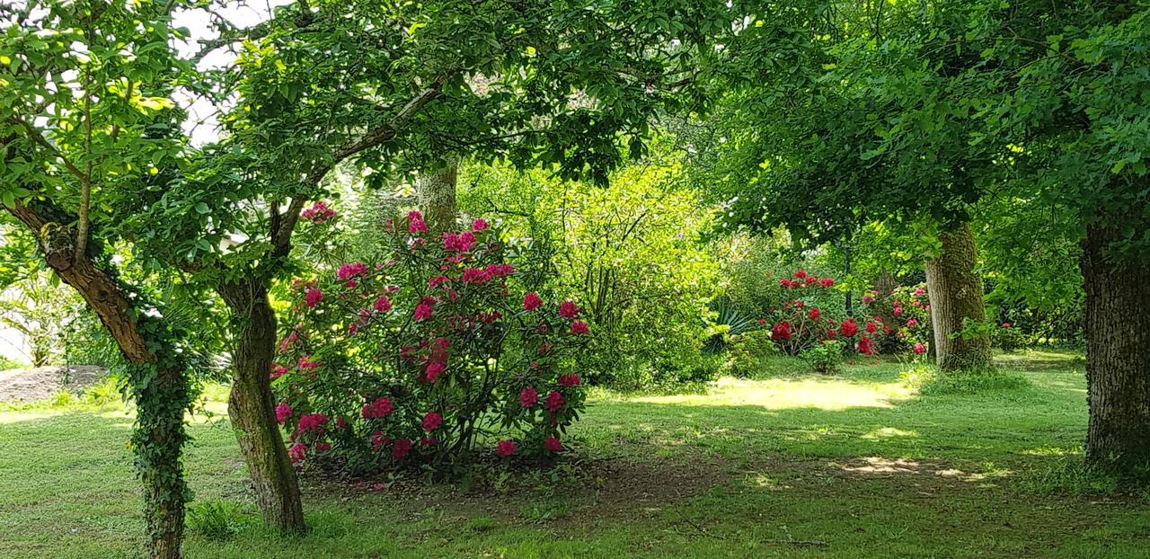 Manoir De Tireveste Lesperon  Luaran gambar